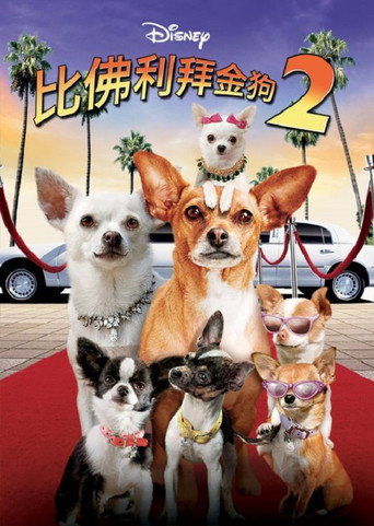 比佛利拜金狗2海报