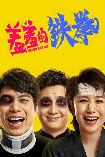 羞羞的铁拳海报