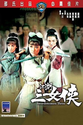 江湖三女侠海报