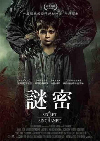 老房之秘海报