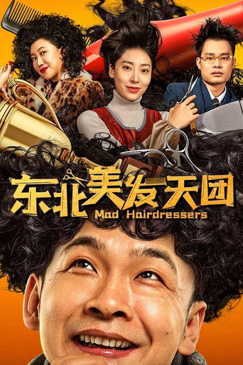 东北美发天团海报