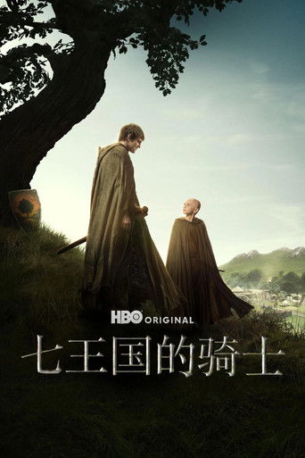 七王国的骑士海报