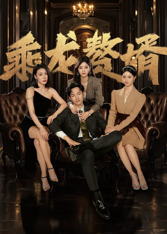 乘龙赘婿海报