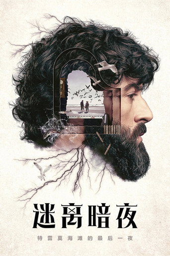 迷离暗夜海报