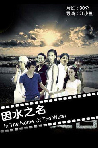 因水之名海报