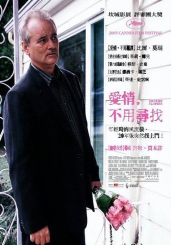 破碎之花海报