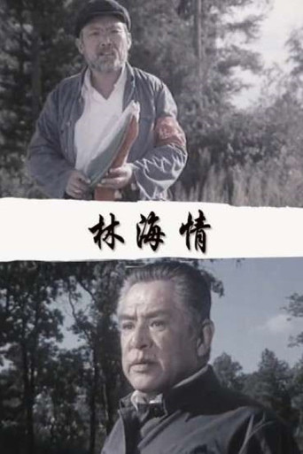 林海情海报