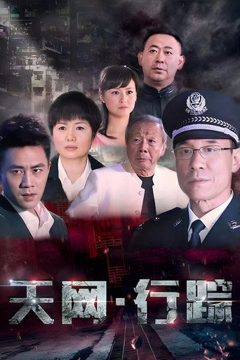 天网·行踪海报