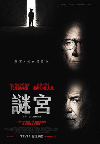 迷宫中的人海报