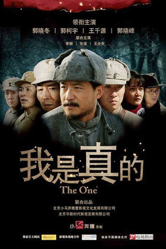 我是真的海报
