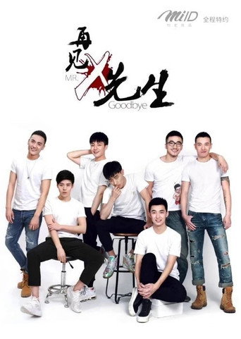 我和x先生 再见 x 先生海报