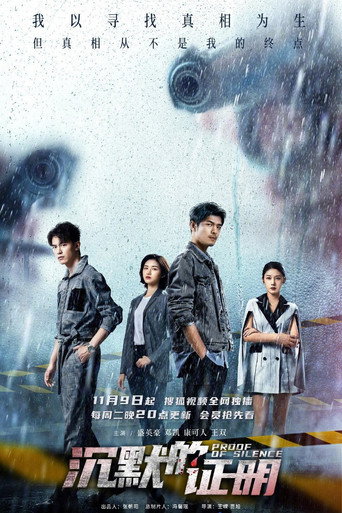 沉默的证明海报