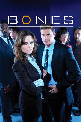 识骨寻踪 第 1 季海报