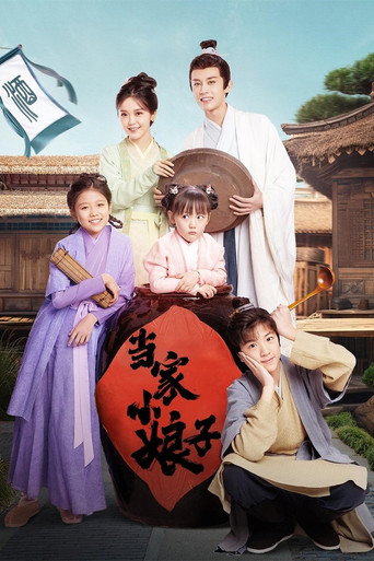 当家小娘子海报