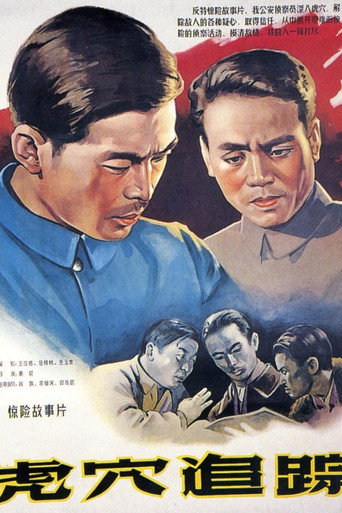 虎穴追踪海报