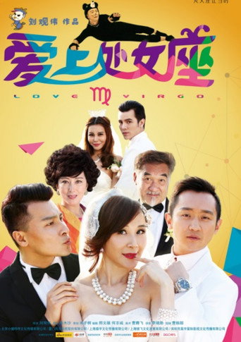 爱上处女座海报