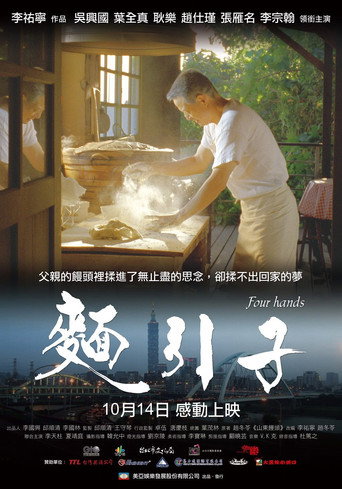 面引子海报