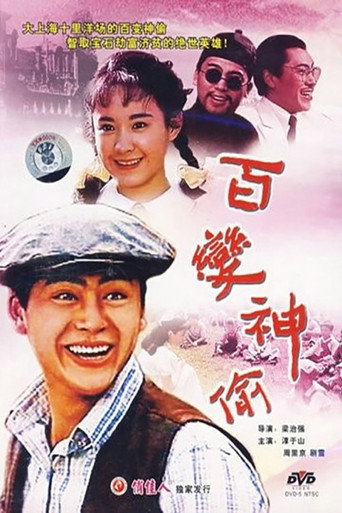 百变神偷海报