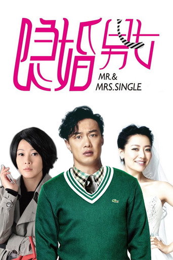 隐婚男女海报