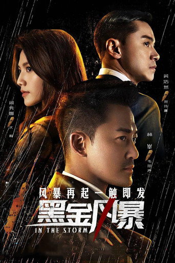 黑金风暴海报