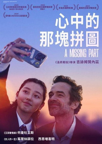 缺失的部分海报
