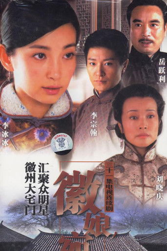 徽娘宛心海报