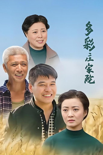 多彩庄家院海报