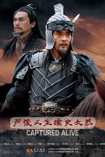 卢俊义生擒史文恭海报