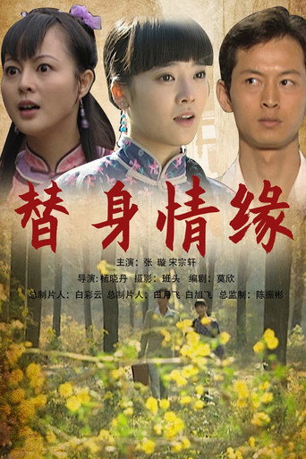 替身情缘海报