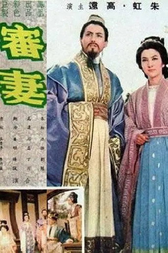 审妻海报