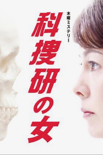 科搜研之女 第 10 季海报