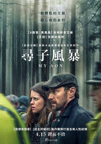 我的儿子海报