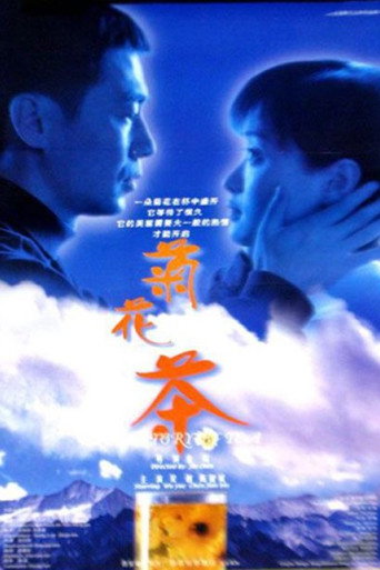 菊花茶海报