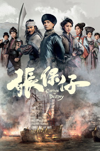 张保仔海报