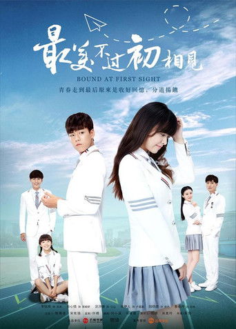 最美不过初相见海报