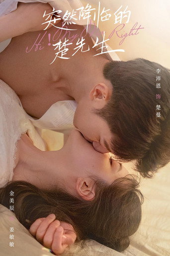 突然降临的楚先生海报