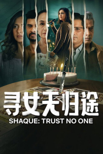 寻女无归途海报