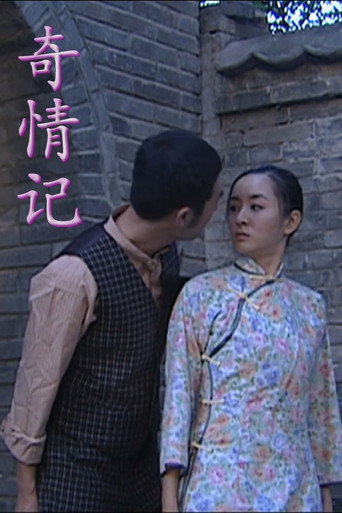 奇情记海报