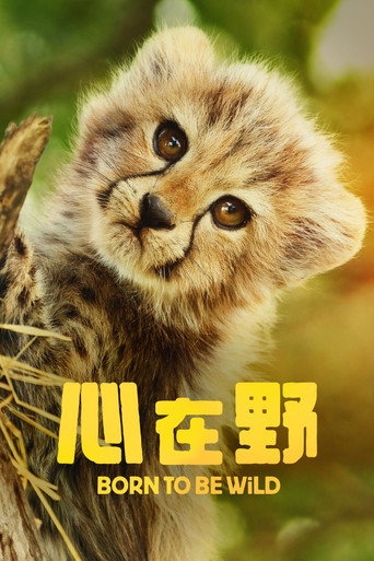 生而狂野海报