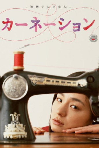 康乃馨海报