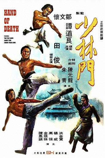少林门海报