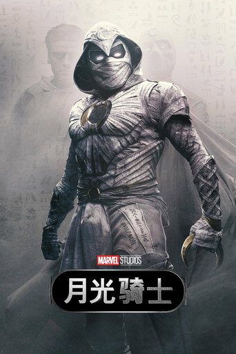 月光骑士海报