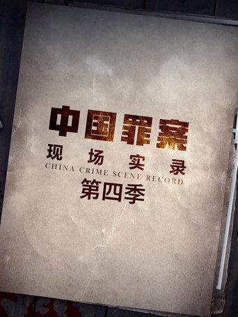 罪案现场实录 第 4 季海报