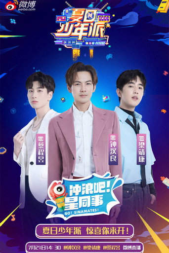 夏日少年派海报