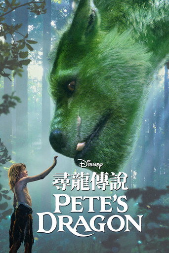 彼得的龙海报