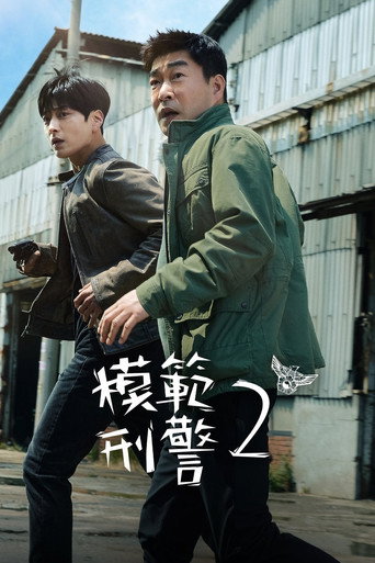 模范刑警 第 2 季海报