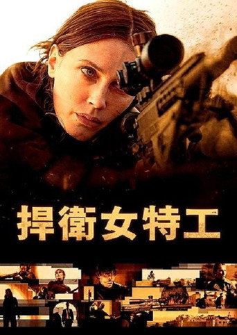 代号巴德海报