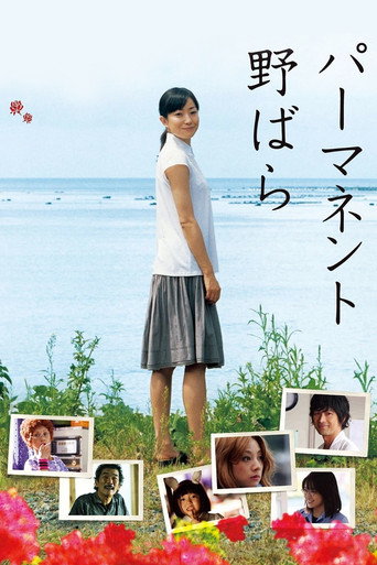 常开野蔷薇海报