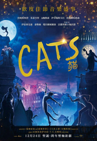 猫海报