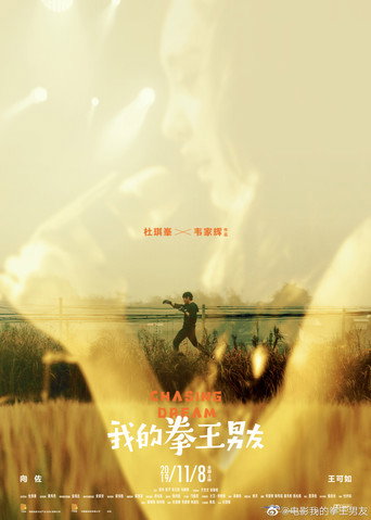我的拳王男友海报